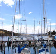 Oyster Cove Inn - Lightning Ridge Tourism