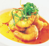 Palm Cove Tavern - Lightning Ridge Tourism