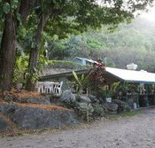 Ellis Beach Bar  Grill - Lightning Ridge Tourism