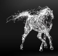 The White Horse - Lightning Ridge Tourism