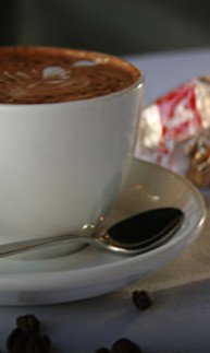 Mojos  - Lightning Ridge Tourism 2