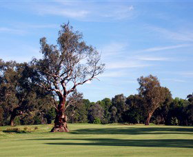 Corowa Golf Club - Lightning Ridge Tourism 5