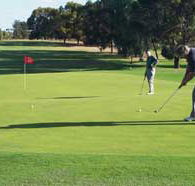 Waikerie Golf Club - Lightning Ridge Tourism