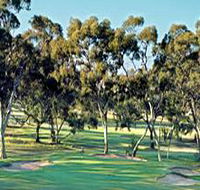 Tanunda Pines Golf Club - Lightning Ridge Tourism