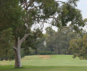 Tocumwal Golf Club - Lightning Ridge Tourism 2