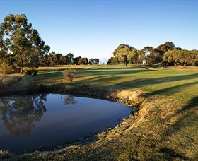 Rich River Golf Club Resort - Lightning Ridge Tourism 1