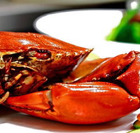 Newquay International Buffet - Lightning Ridge Tourism