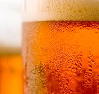 Myssy's Fresh amp Cooked Seafood - Lightning Ridge Tourism