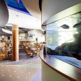 Pub Mooloolaba - Lightning Ridge Tourism 3