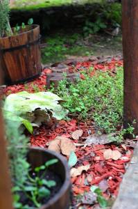 Herveys Range Heritage Tea Rooms - Lightning Ridge Tourism 1