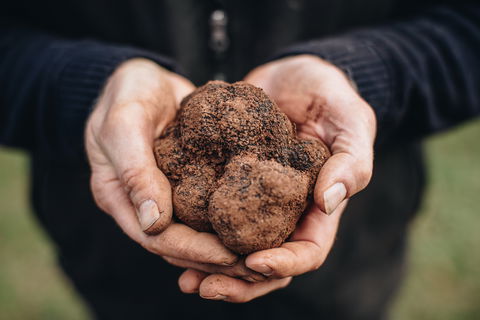 A Taste Of Truffles - Lightning Ridge Tourism 0