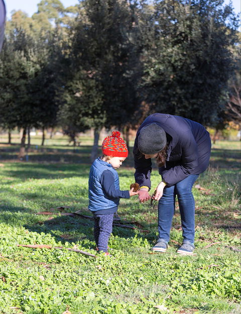 A Taste Of Truffles - Lightning Ridge Tourism 2