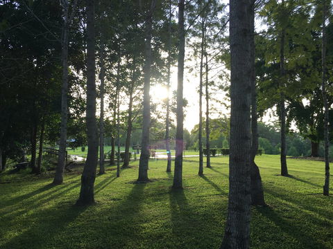 Celebration Outing Special - Lightning Ridge Tourism 0