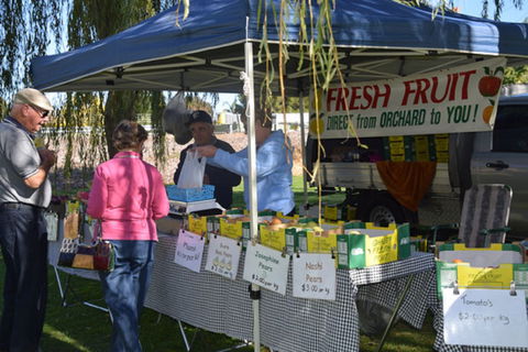 Corowa Rotary Federation Festival Market - Lightning Ridge Tourism 0
