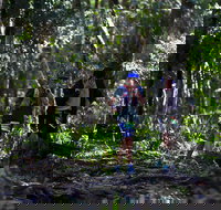 Elephant Trail Race - Lightning Ridge Tourism