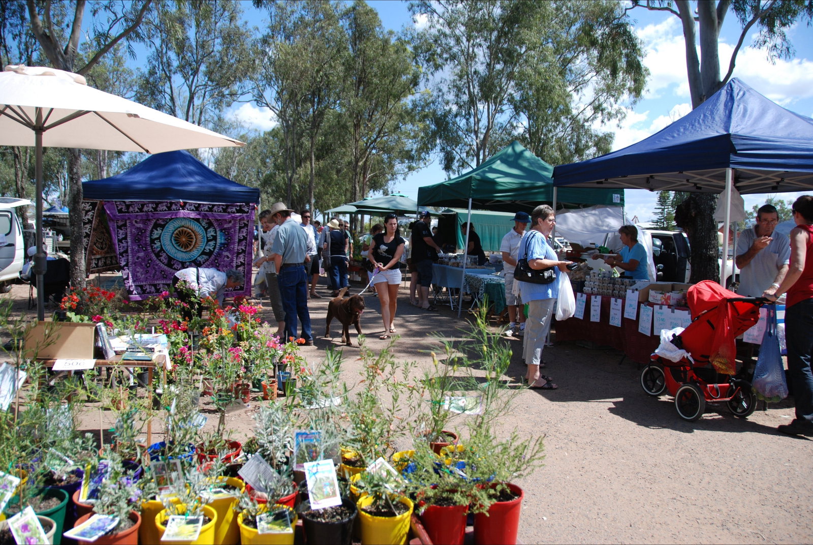 Fernvale QLD Lightning Ridge Tourism