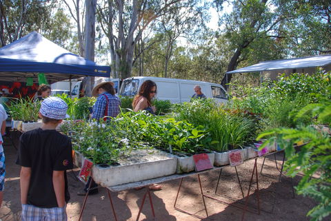 Fernvale Country Markets - Lightning Ridge Tourism 1