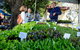 Gladstone Quality Markets - thumb 2
