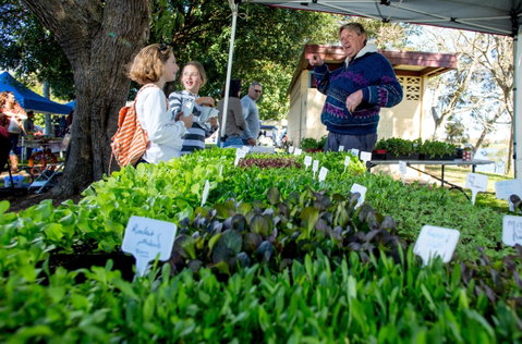 Gladstone Quality Markets - Lightning Ridge Tourism 2