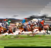 Grafton July Racing Carnival - Lightning Ridge Tourism