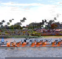 Jacaranda Dragon Boat Races - Lightning Ridge Tourism