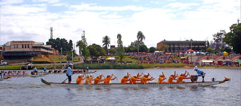 Jacaranda Dragon Boat Races - Lightning Ridge Tourism 0
