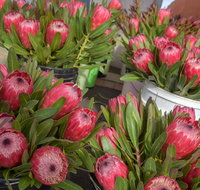 Junee Rotary Farmers Markets - Lightning Ridge Tourism