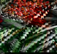 Lawrence Farmers and Community Markets - Lightning Ridge Tourism