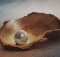 Lecture Cancelled  ADFAS  Lecture Half-Day - Patricia Law speaking on Pearls and Diamonds - Lightning Ridge Tourism