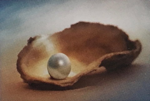 Lecture Cancelled:  ADFAS  Lecture (Half-Day) - Patricia Law Speaking On Pearls And Diamonds - Lightning Ridge Tourism 0