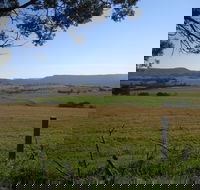 Milton Village Showground Markets - Lightning Ridge Tourism