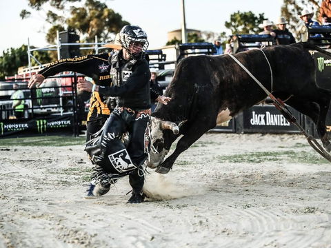 PBR Hawkesbury Stampede - Lightning Ridge Tourism 2