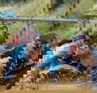 Suck It Up Buttercup Vikings Obstacle Course - Lightning Ridge Tourism