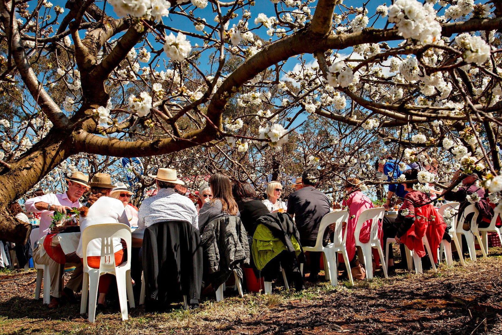 Young NSW Lightning Ridge Tourism