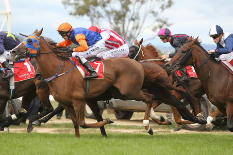 Albury Racing Club January Race Day - Lightning Ridge Tourism 1