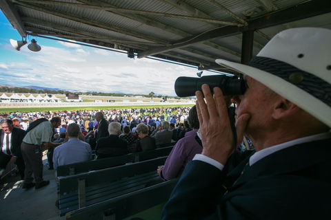 Albury Racing Club January Race Day - Lightning Ridge Tourism 2