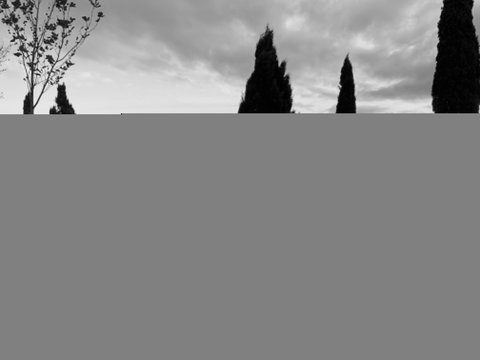 Cheese And Wine Experience - Lightning Ridge Tourism 1