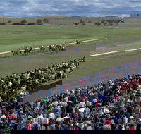 Cooma Sundowners Cup - Lightning Ridge Tourism