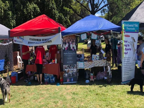 Dogs In The Park Swansea - Lightning Ridge Tourism 1