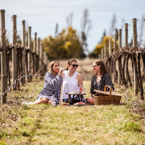 Family Picnic Weekend - Lightning Ridge Tourism 0