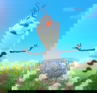 Meet Olaf from Frozen - Lightning Ridge Tourism