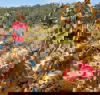 Mini Muddies Obstacle Challenge at Bunnamagoo Estate - Lightning Ridge Tourism