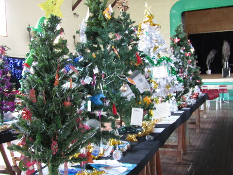 Mount Morgan Christmas Tree Festival - Lightning Ridge Tourism 0