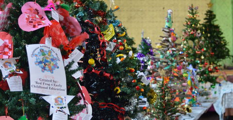 Mount Morgan Christmas Tree Festival - Lightning Ridge Tourism 2