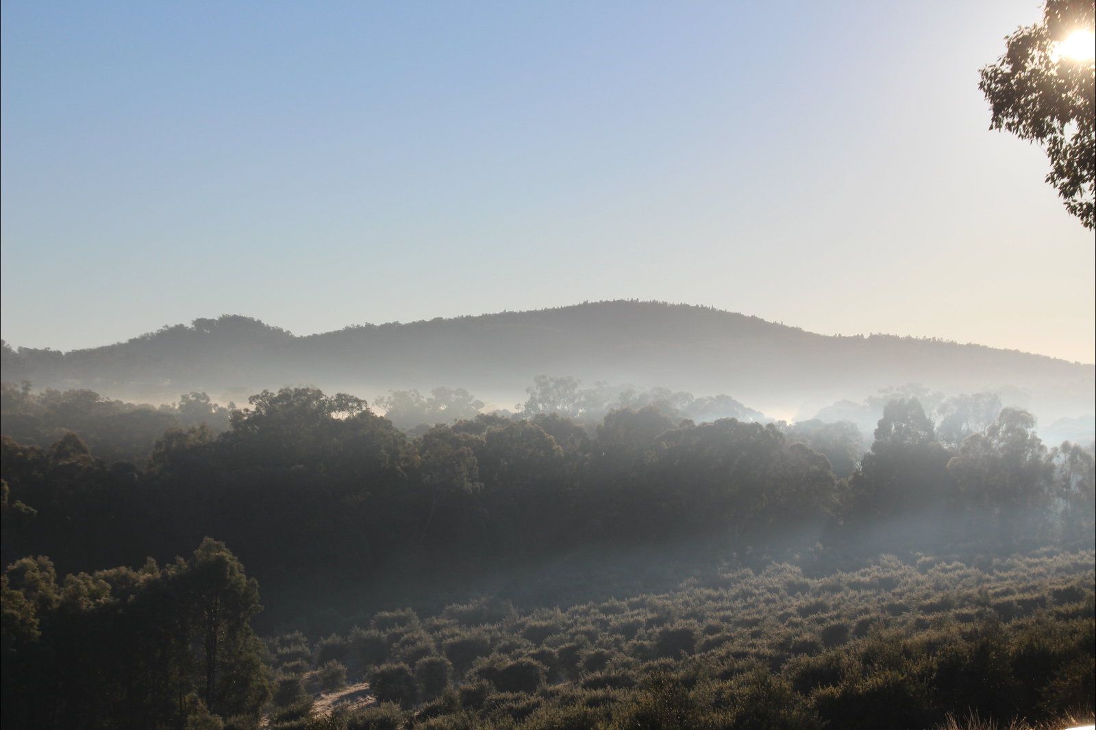 Tambaroora ACT Lightning Ridge Tourism