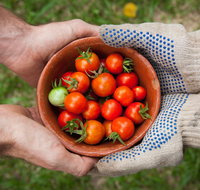 Riverina Producers Market - Lightning Ridge Tourism