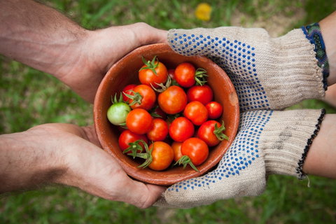 Riverina Producers Market - Lightning Ridge Tourism 0
