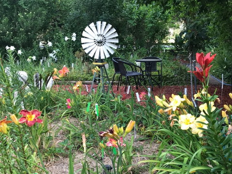 Riverina Iris Farm Open Garden And Iris Display - Lightning Ridge Tourism 2