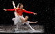 The Nutcracker And Don Quixote - thumb 0