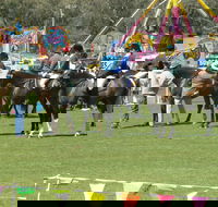 Wangaratta Show - Lightning Ridge Tourism